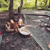 Review photo of Wallace State Park Campground by Justin S., July 2, 2017