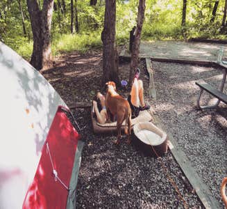 Camper-submitted photo from Clinton State Park Campground