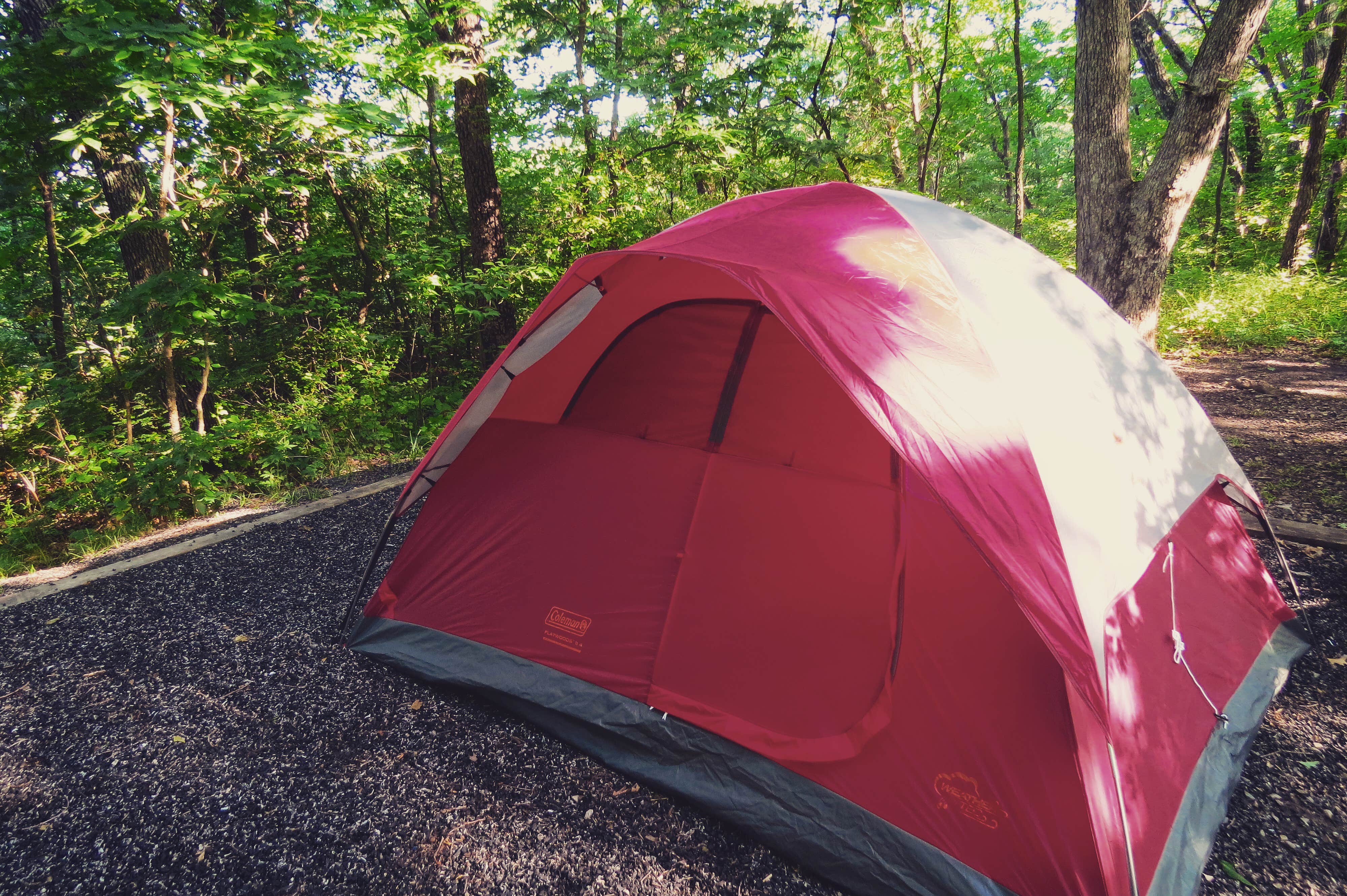 Justin S.'s photo at Wallace State Park Campground near Lathrop, MO
