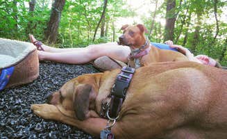 Justin S.'s photo of camping with pets at Wallace State Park Campground near Jamesport, MO
