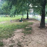 Review photo of Alum Creek State Park Campground by Shelly S., July 2, 2017