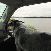 Review photo of Alum Creek State Park Campground by Shelly S., July 2, 2017