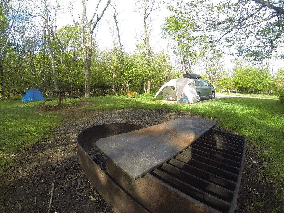 Camper submitted image from Big Meadows Campground — Shenandoah National Park - 4