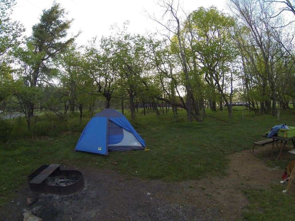 Sarah C.'s photo at Big Meadows Campground — Shenandoah National Park near Sperryville, VA