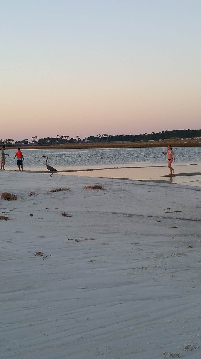 Dauphin Island Campground Camping The Dyrt