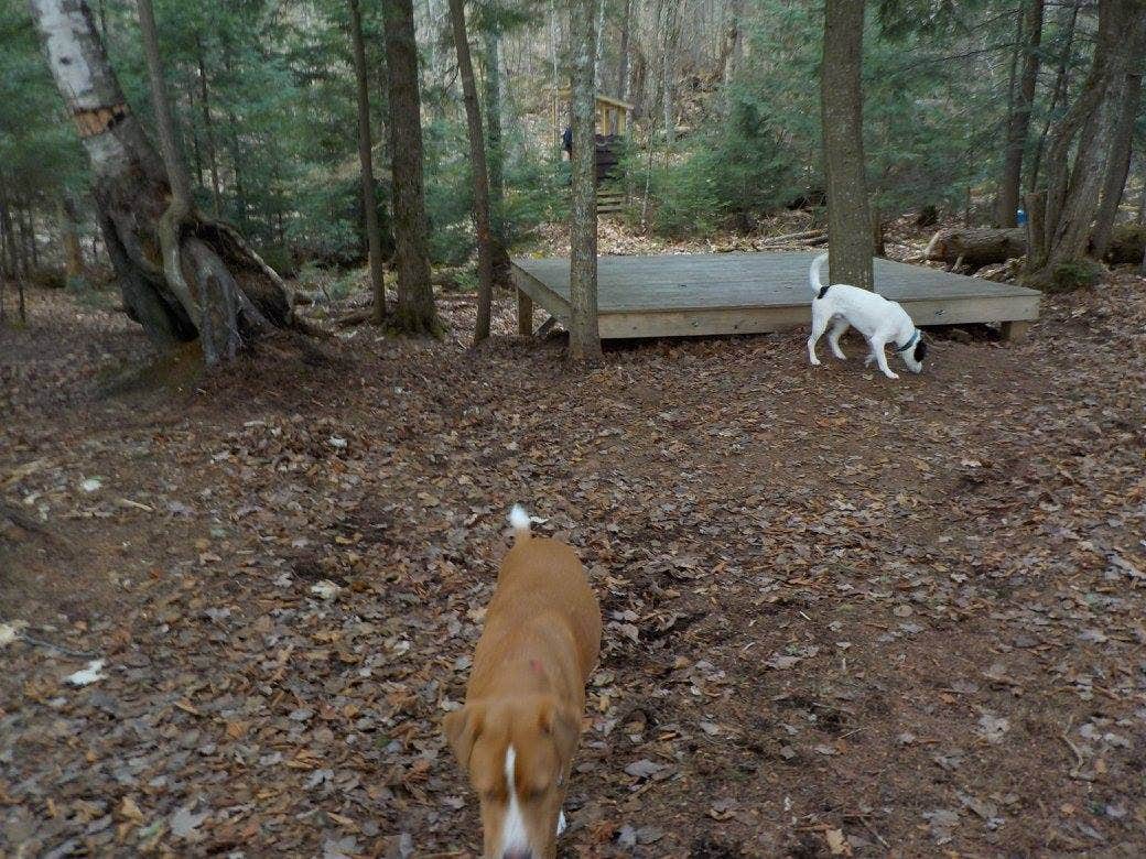 Camper submitted image from Umbagog Lake State Park Campground - 2