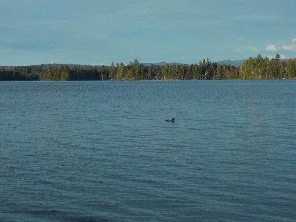 Umbagog Lake State Park Campground Errol, NH