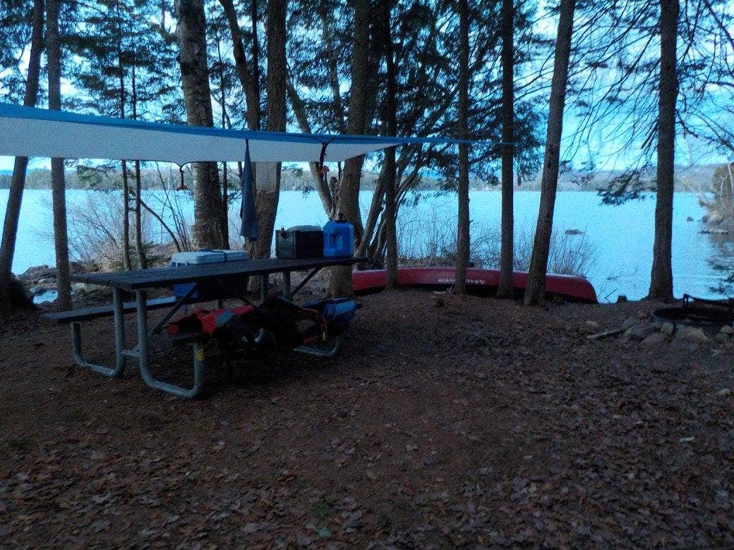 Camper submitted image from Umbagog Lake State Park Campground - 3