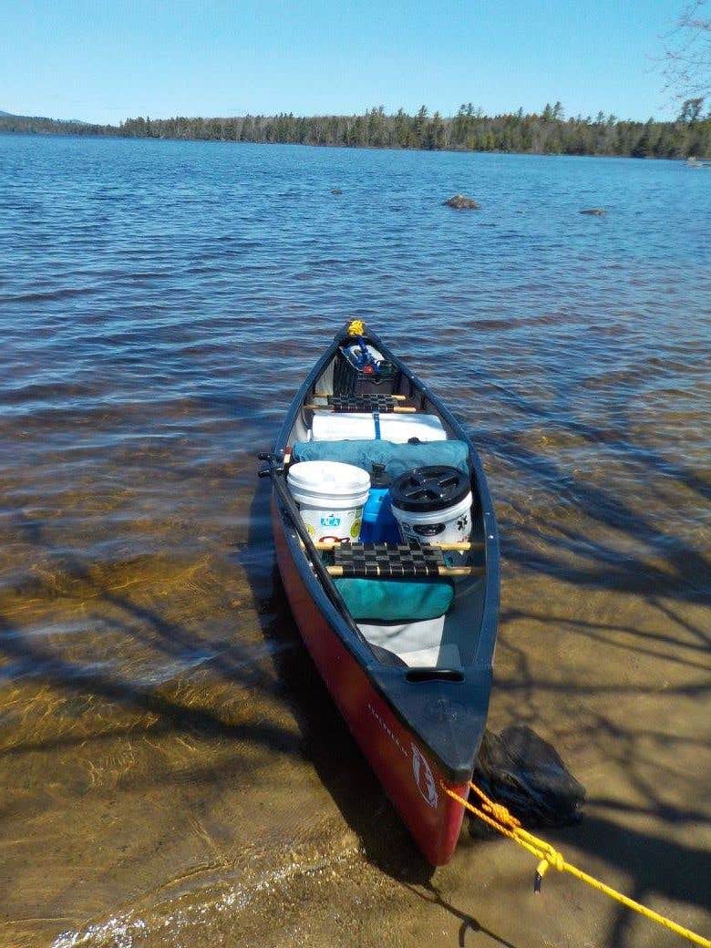 Camper submitted image from Umbagog Lake State Park Campground - 5