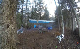 Sarah C.'s photo of camping with pets at Remote Sites — Umbagog Lake State Park near Dixfield, ME