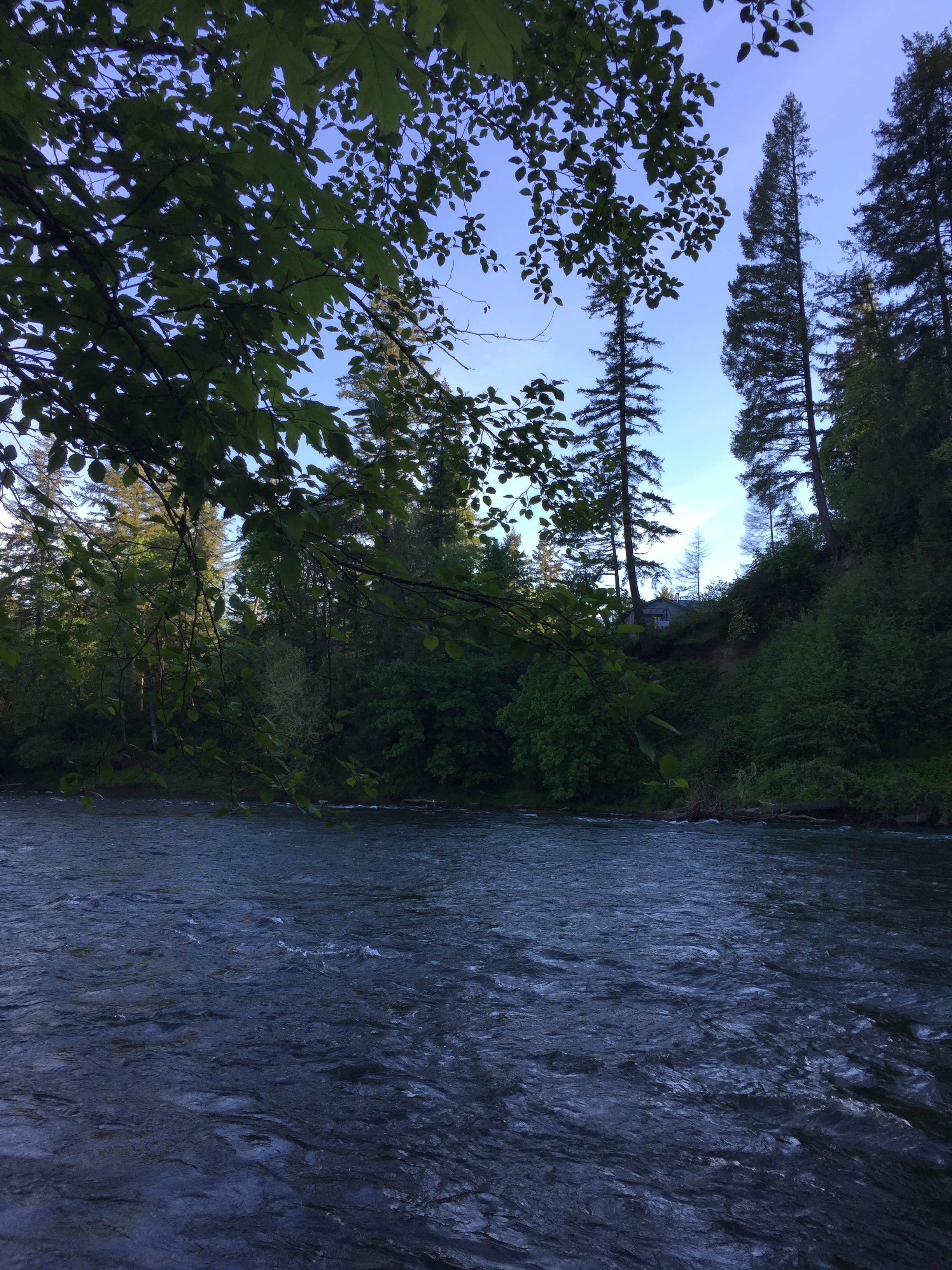 Camper submitted image from John Neal Memorial Park - 4