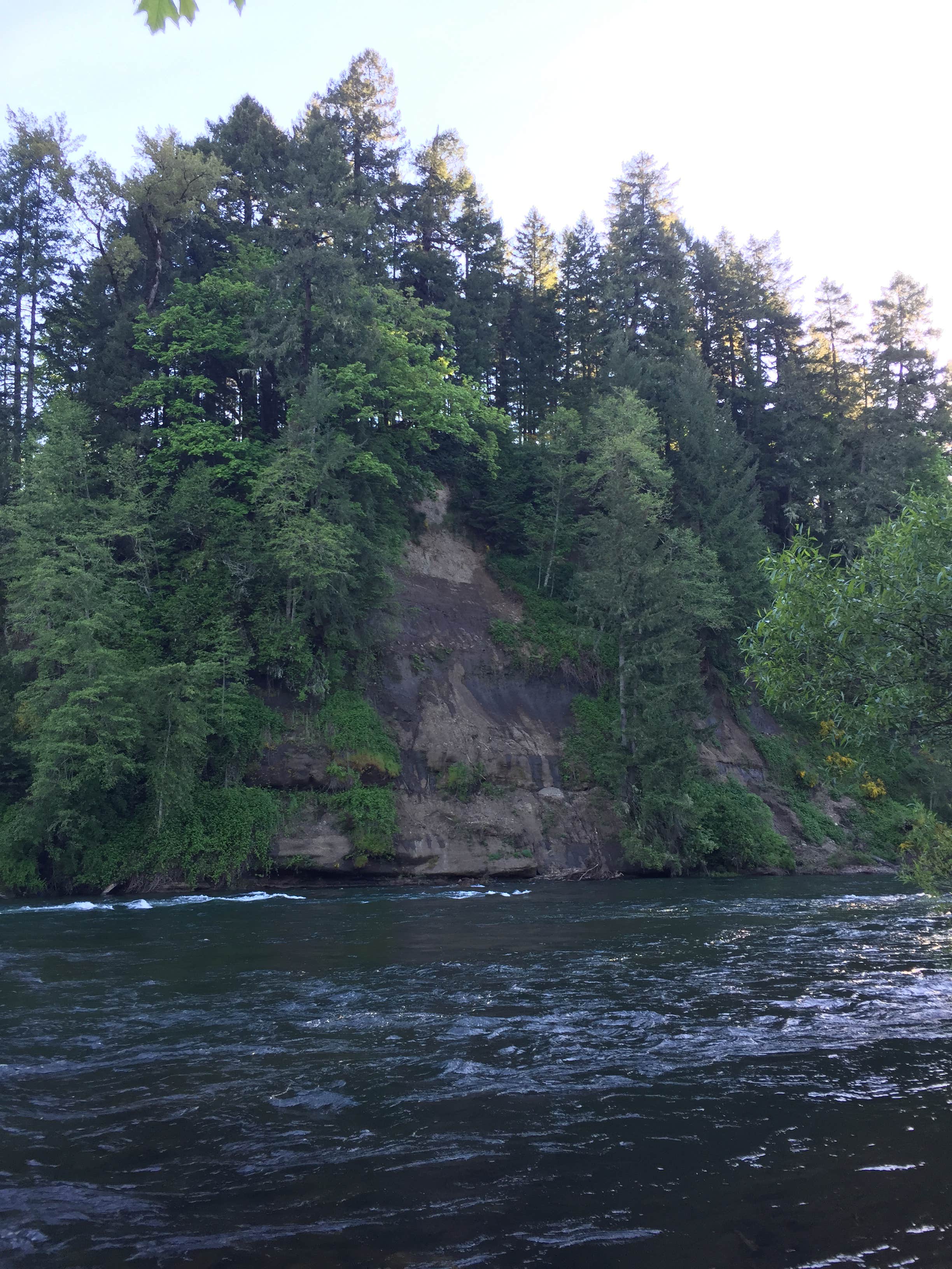 Camper-submitted photo at John Neal Memorial Park near Sublimity, OR