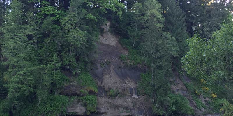 Camper submitted image from John Neal Memorial Park