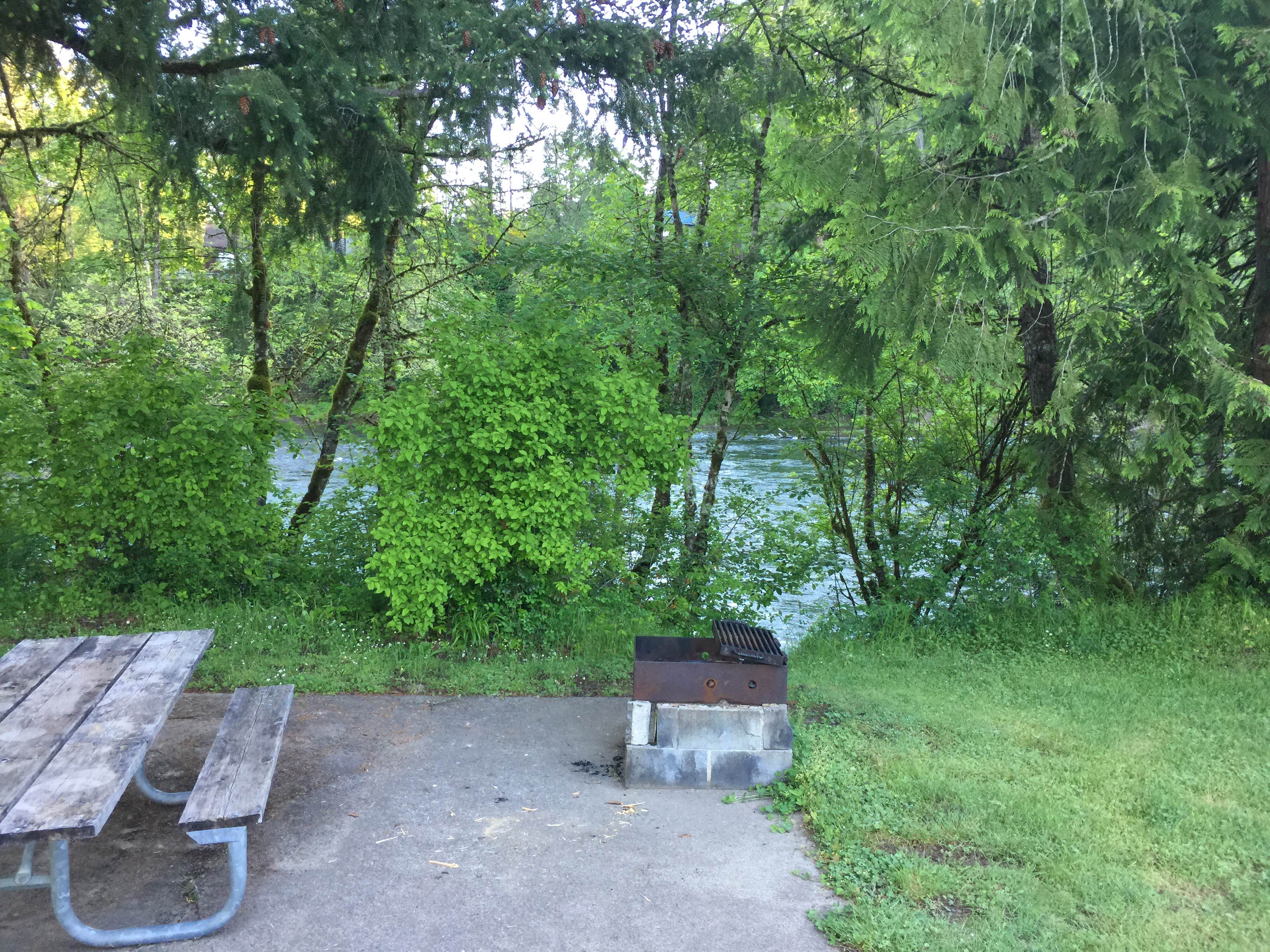 Camper-submitted photo at John Neal Memorial Park near Sublimity, OR