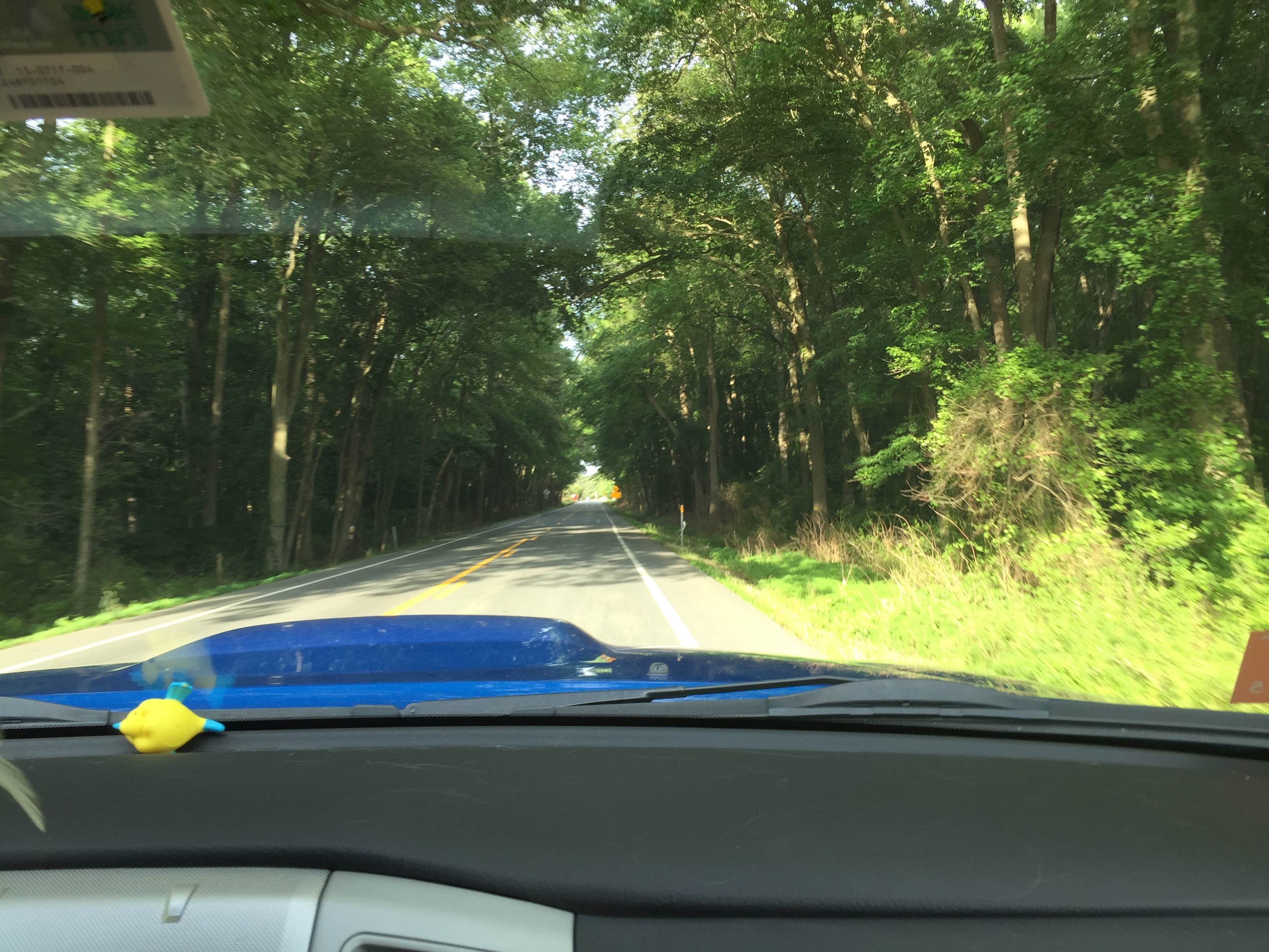 Camper-submitted photo at Pocomoke River State Park Campground near Assateague Island National Seashore