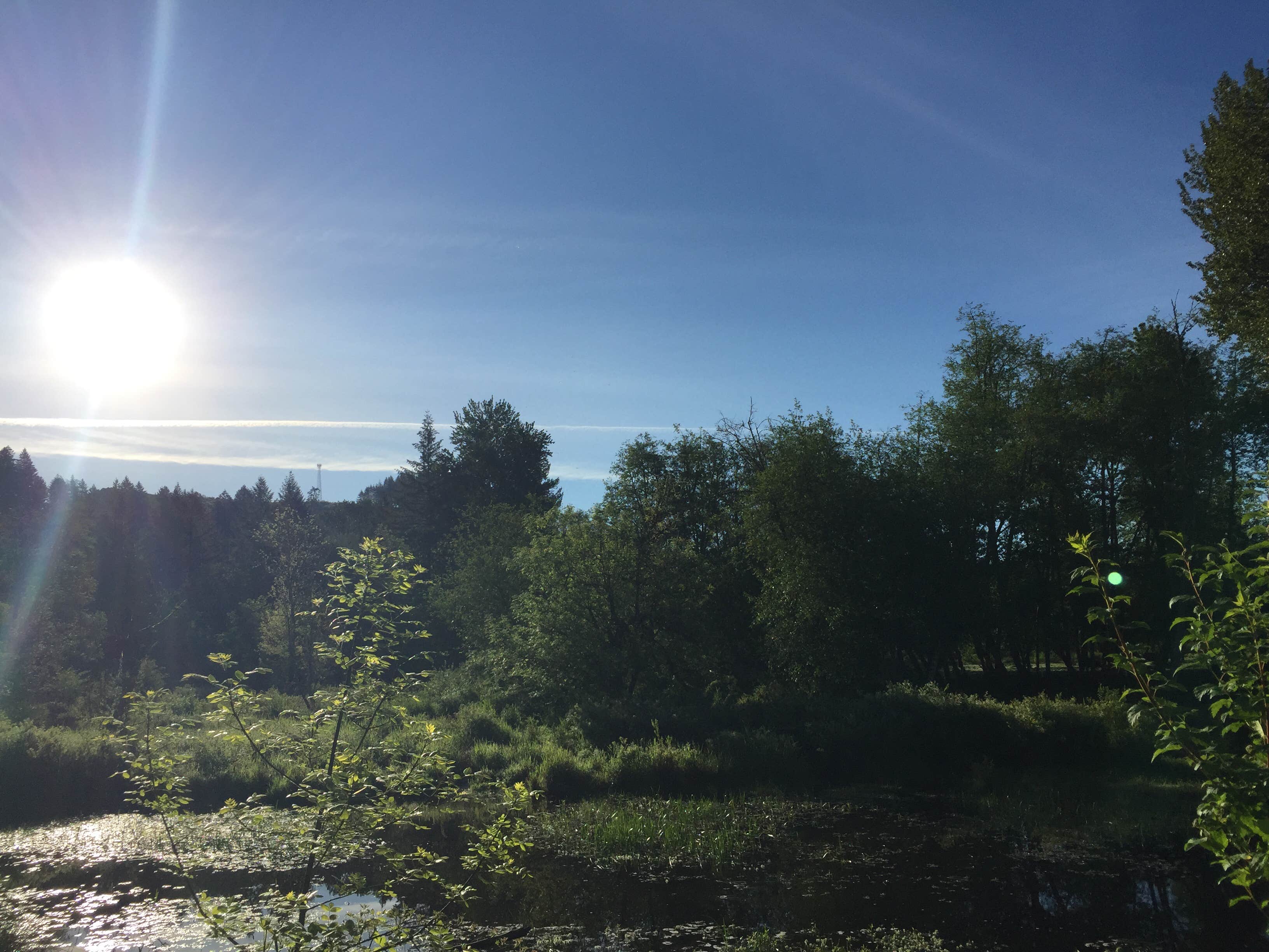 Camper-submitted photo at John Neal Memorial Park near Sublimity, OR