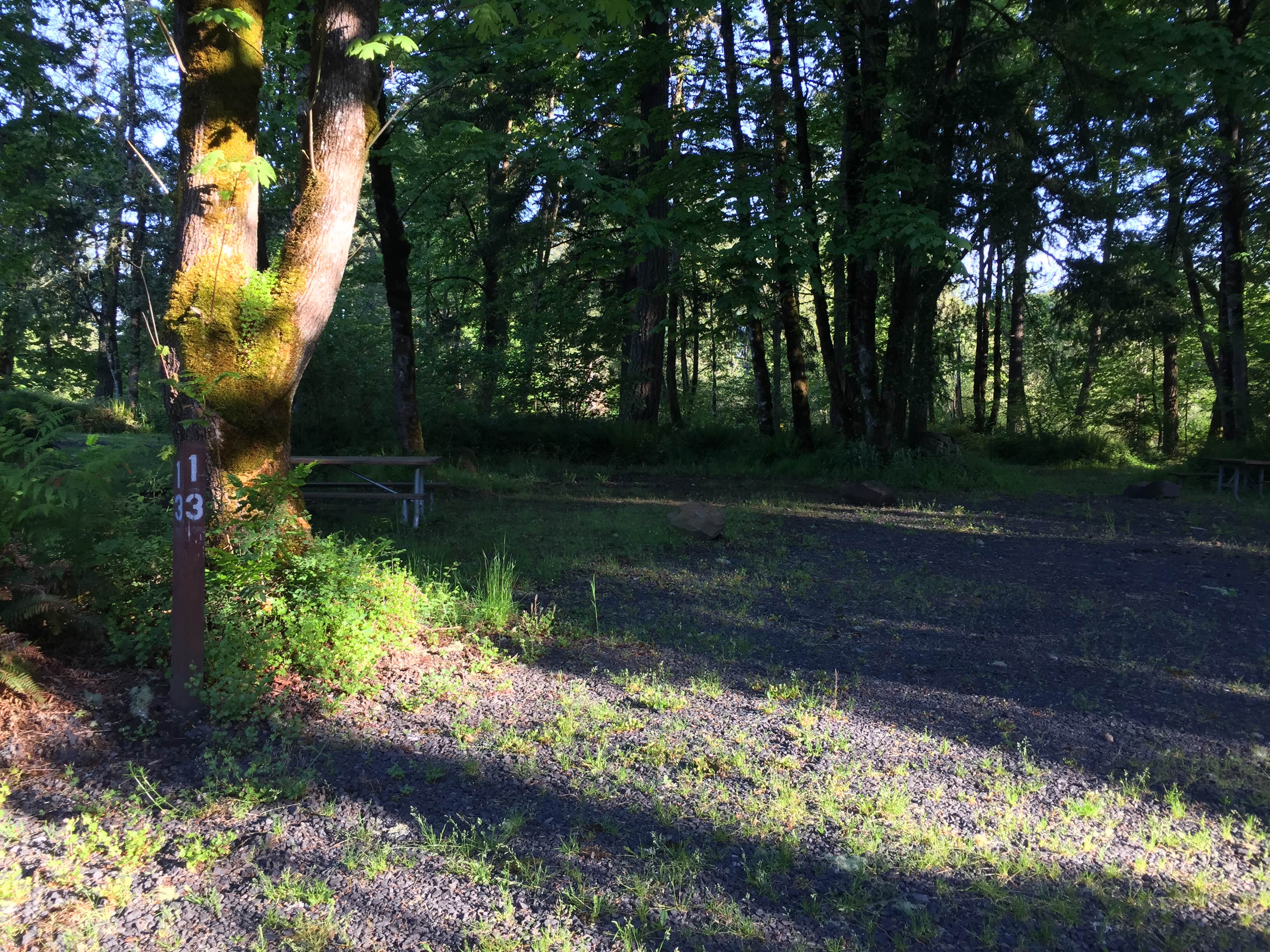 Camper-submitted photo at John Neal Memorial Park near Sublimity, OR