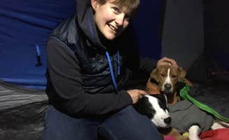 Sarah C.'s photo of camping with pets at Hickory Run State Park Campground near Sweet Valley, PA