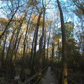 Review photo of Longleaf Campground — Congaree National Park by Sarah C., July 2, 2017