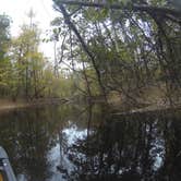 Review photo of Longleaf Campground — Congaree National Park by Sarah C., July 2, 2017