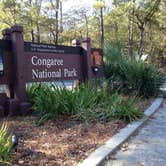 Review photo of Longleaf Campground — Congaree National Park by Sarah C., July 2, 2017