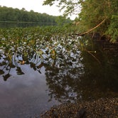Review photo of Pocomoke River State Park Campground by Angel K., June 23, 2016