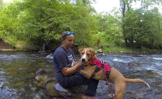 Sarah C.'s photo of camping with pets at Cades Cove Campground near Fontana Dam, NC