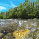 Review photo of Cades Cove Campground by Sarah C., July 3, 2017