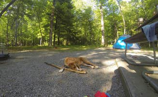 Sarah C.'s photo at Cades Cove Campground near Maryville, TN