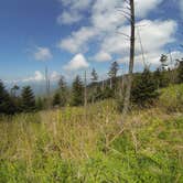 Review photo of Cades Cove Campground by Sarah C., July 3, 2017