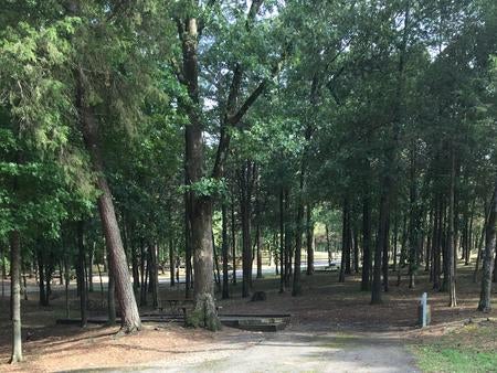 Camper submitted image from Piney Bay - 4