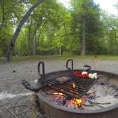 Review photo of Cades Cove Campground by Sarah C., July 3, 2017