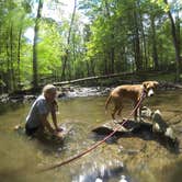 Review photo of Cades Cove Campground by Sarah C., July 3, 2017