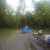 Review photo of Cades Cove Campground by Sarah C., July 3, 2017