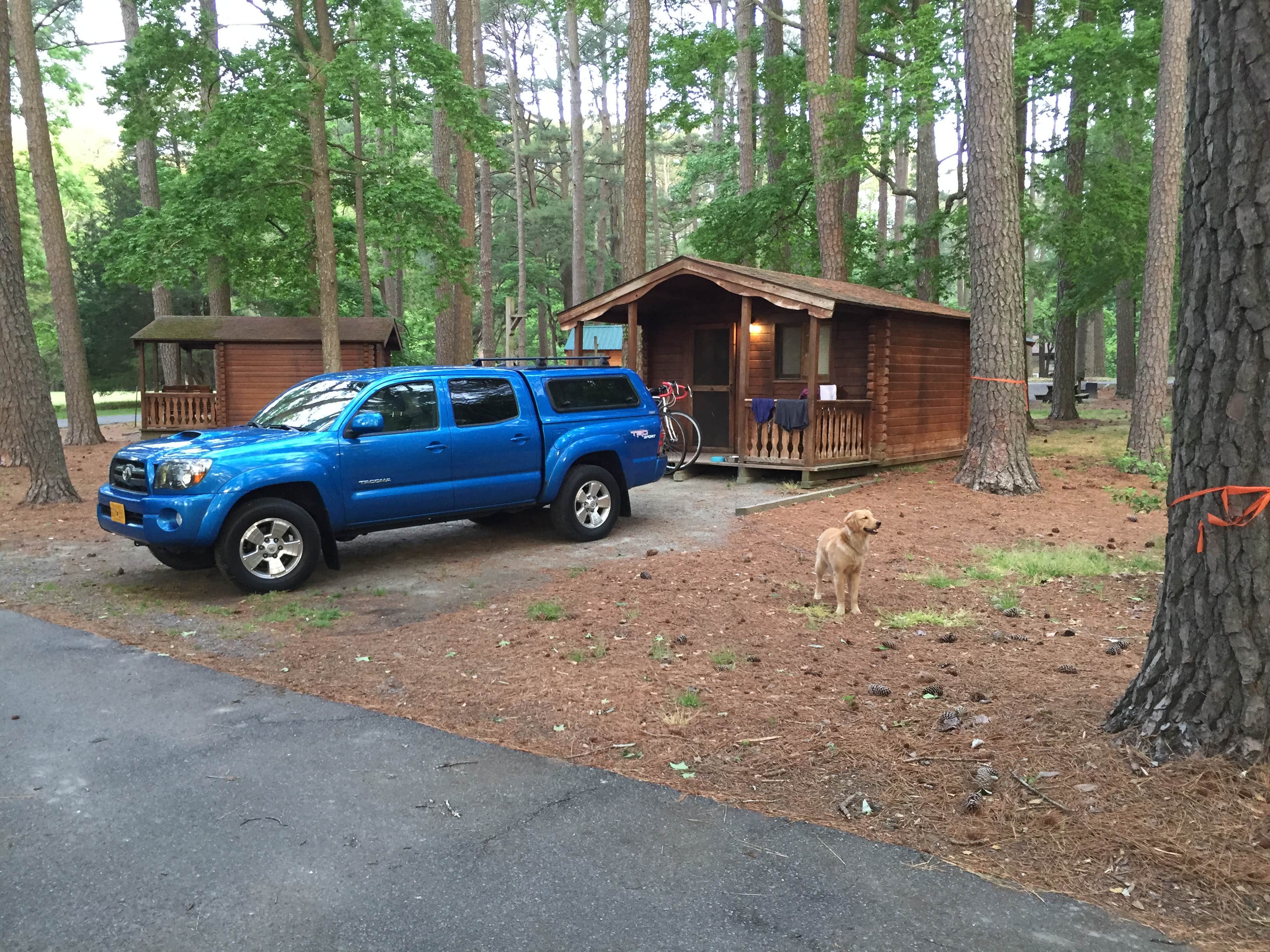 Camper-submitted photo at Pocomoke River State Park Campground near Assateague Island National Seashore