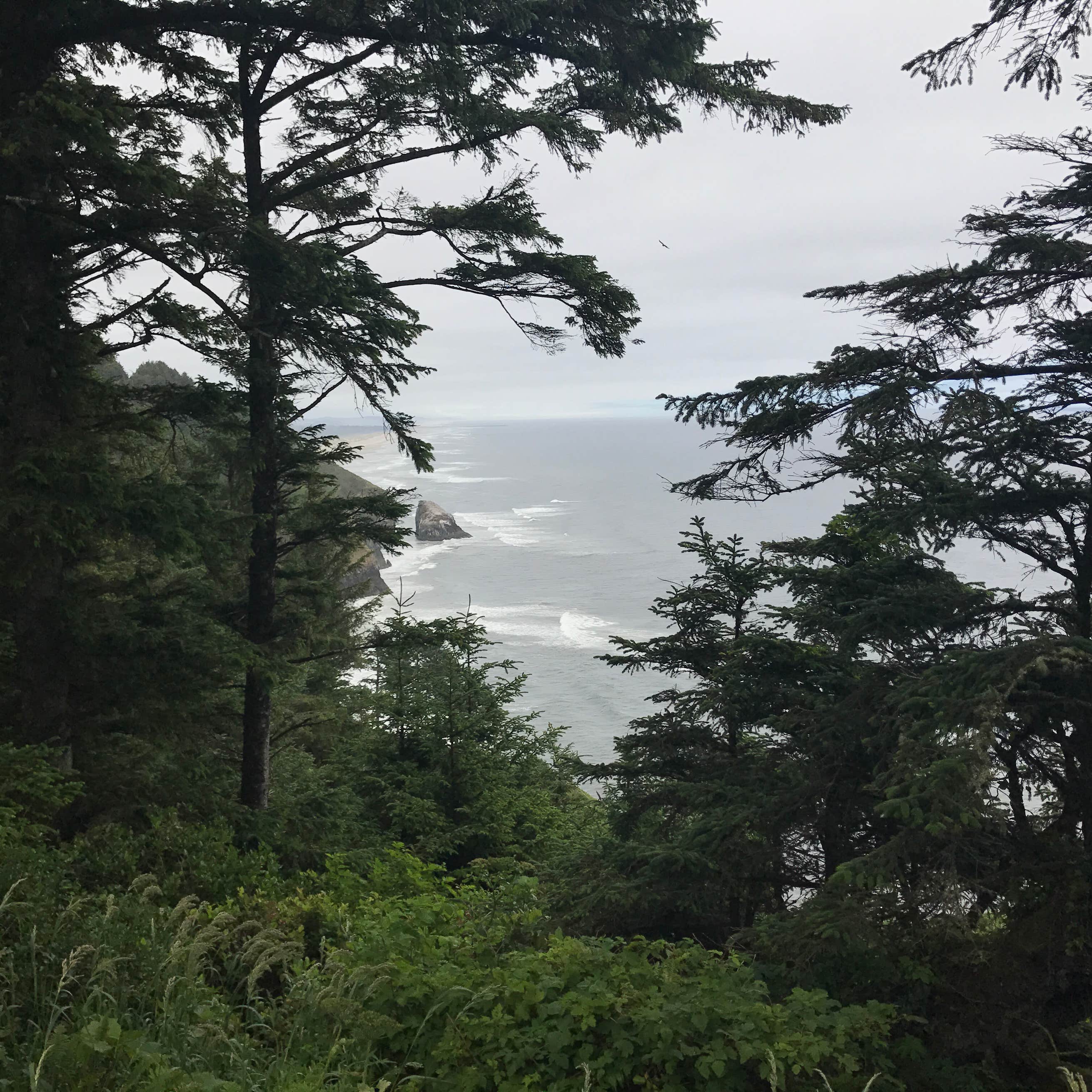 Alder Dune Campground Camping Florence, OR The Dyrt