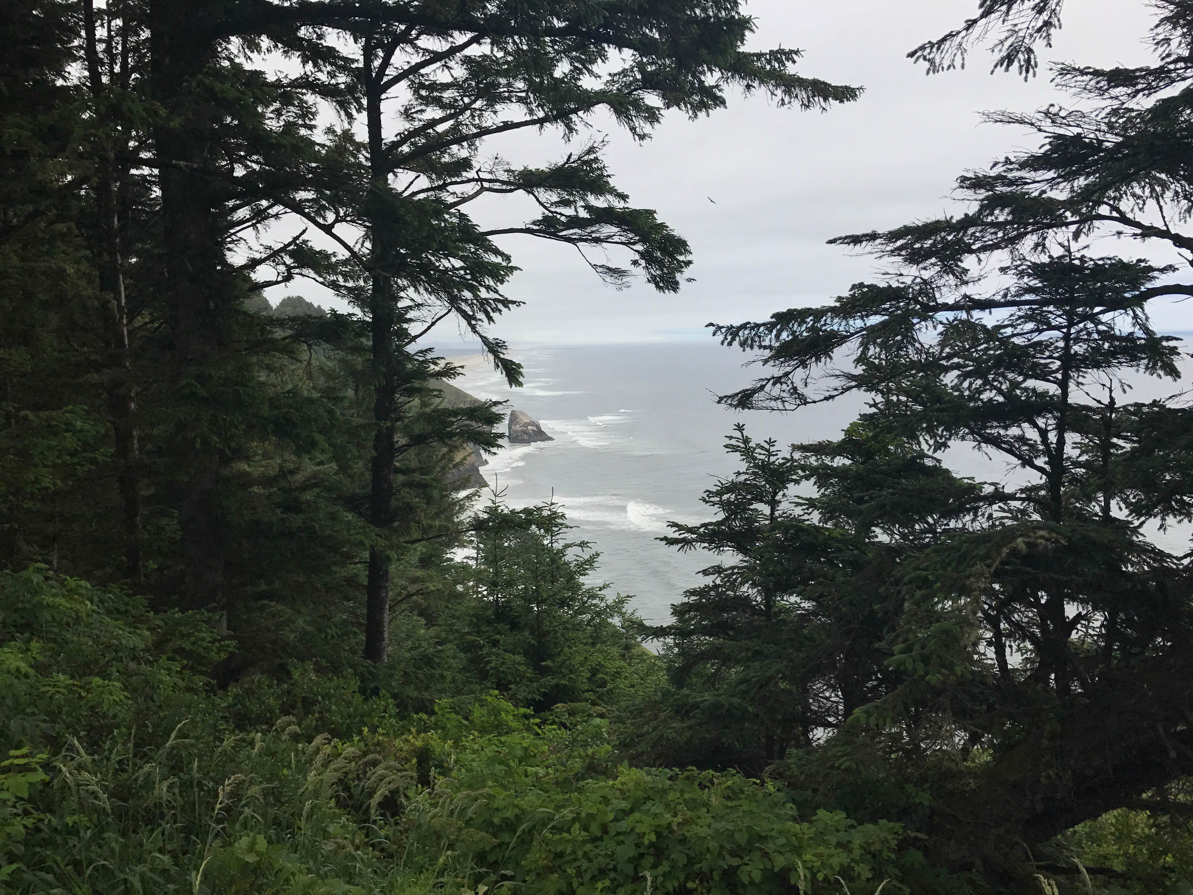 Nature