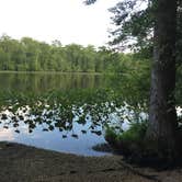 Review photo of Pocomoke River State Park Campground by Angel K., June 23, 2016