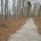 Review photo of Mammoth Cave Campground — Mammoth Cave National Park by Leandra P., July 3, 2017