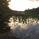 Review photo of Pocomoke River State Park Campground by Angel K., June 23, 2016