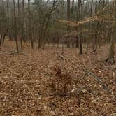 Review photo of Mammoth Cave Campground — Mammoth Cave National Park by Leandra P., July 3, 2017