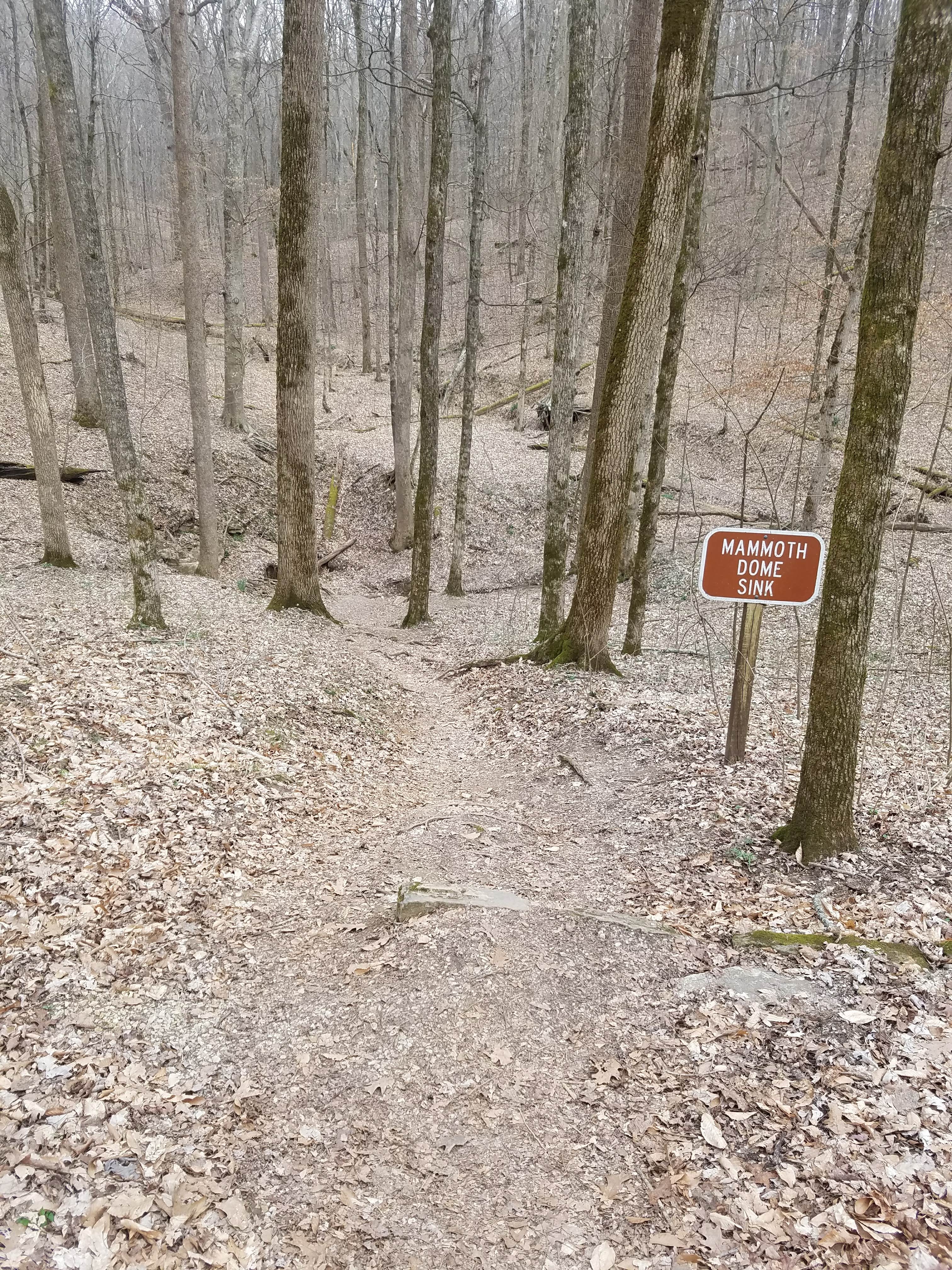 Camper submitted image from Mammoth Cave Campground — Mammoth Cave National Park - 5