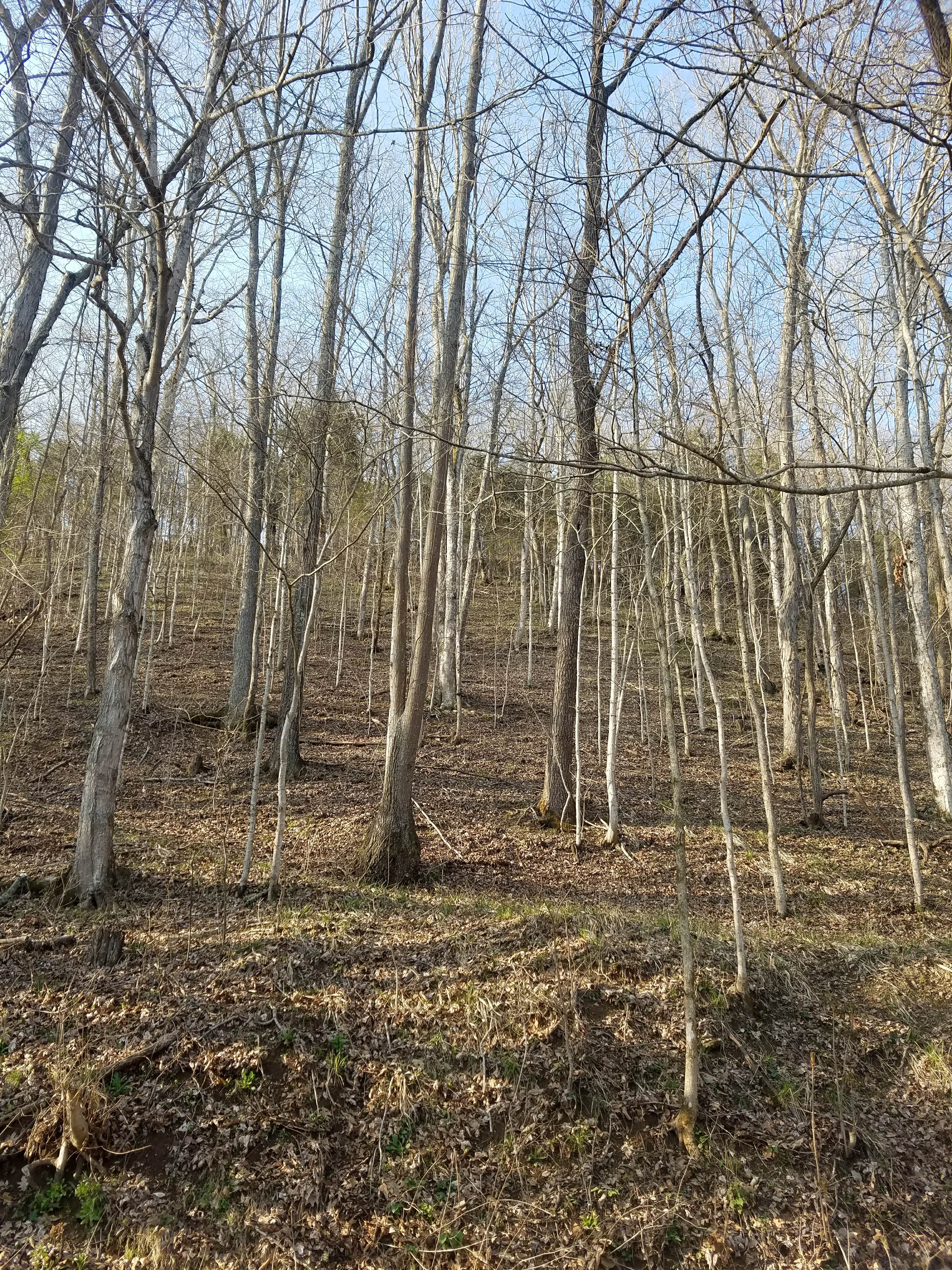 Camper submitted image from Wilson Creek Recreation Area - 2