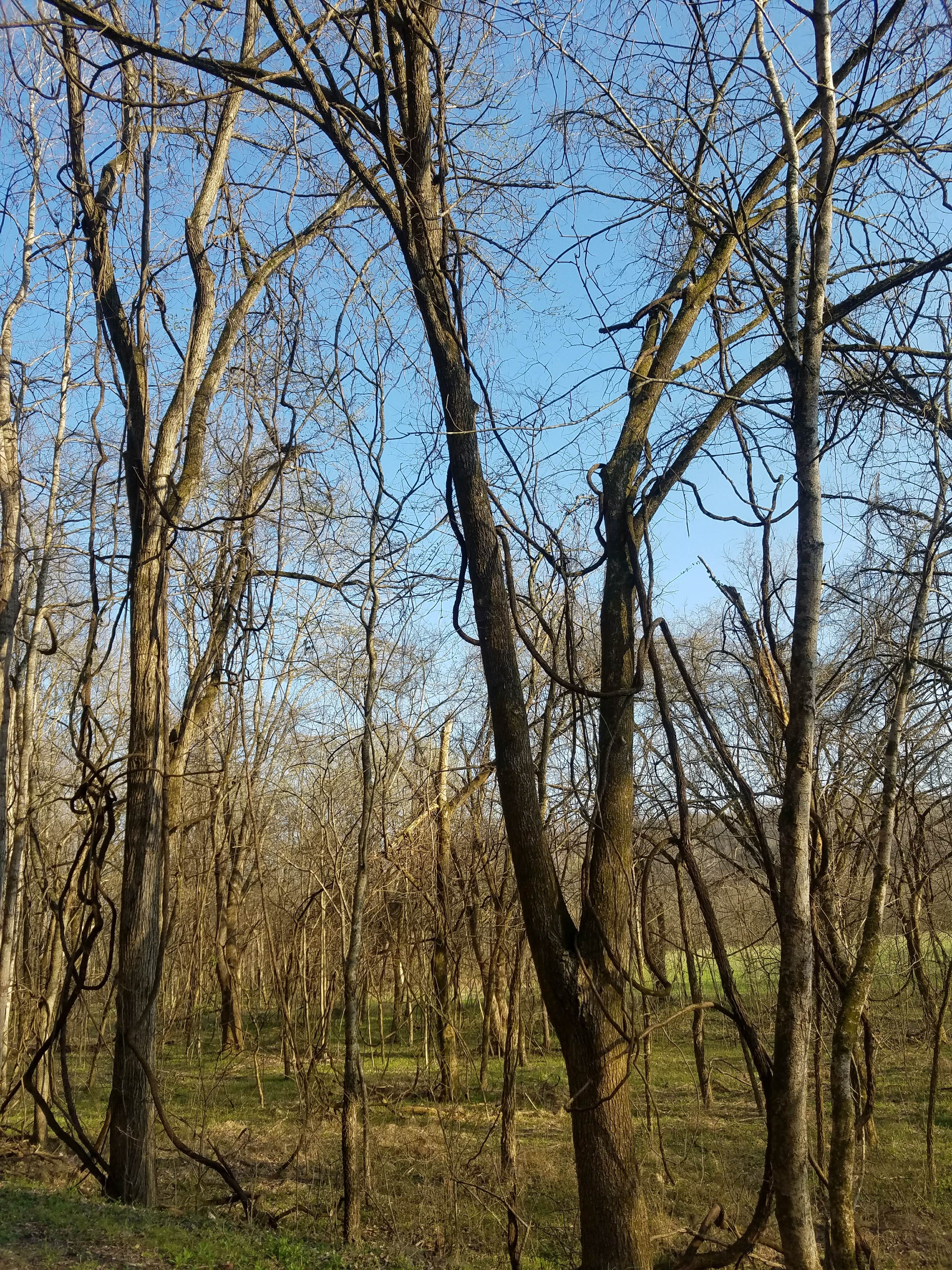 Camper submitted image from Wilson Creek Recreation Area - 1