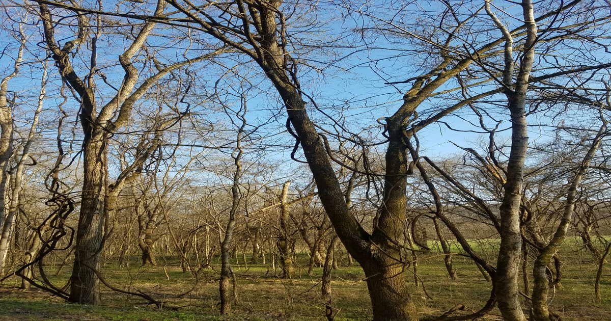 Wilson Creek Recreation Area
