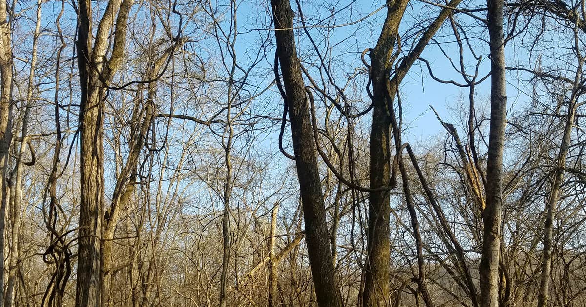 Wilson Creek Recreation Area