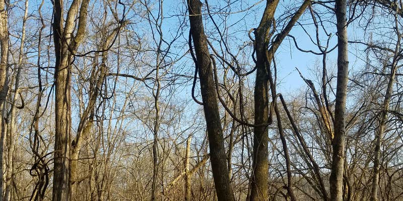 Camper submitted image from Wilson Creek Recreation Area