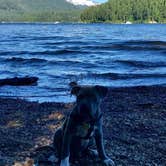 Review photo of Detroit Lake State Recreation Area by Lindsey T., July 3, 2017