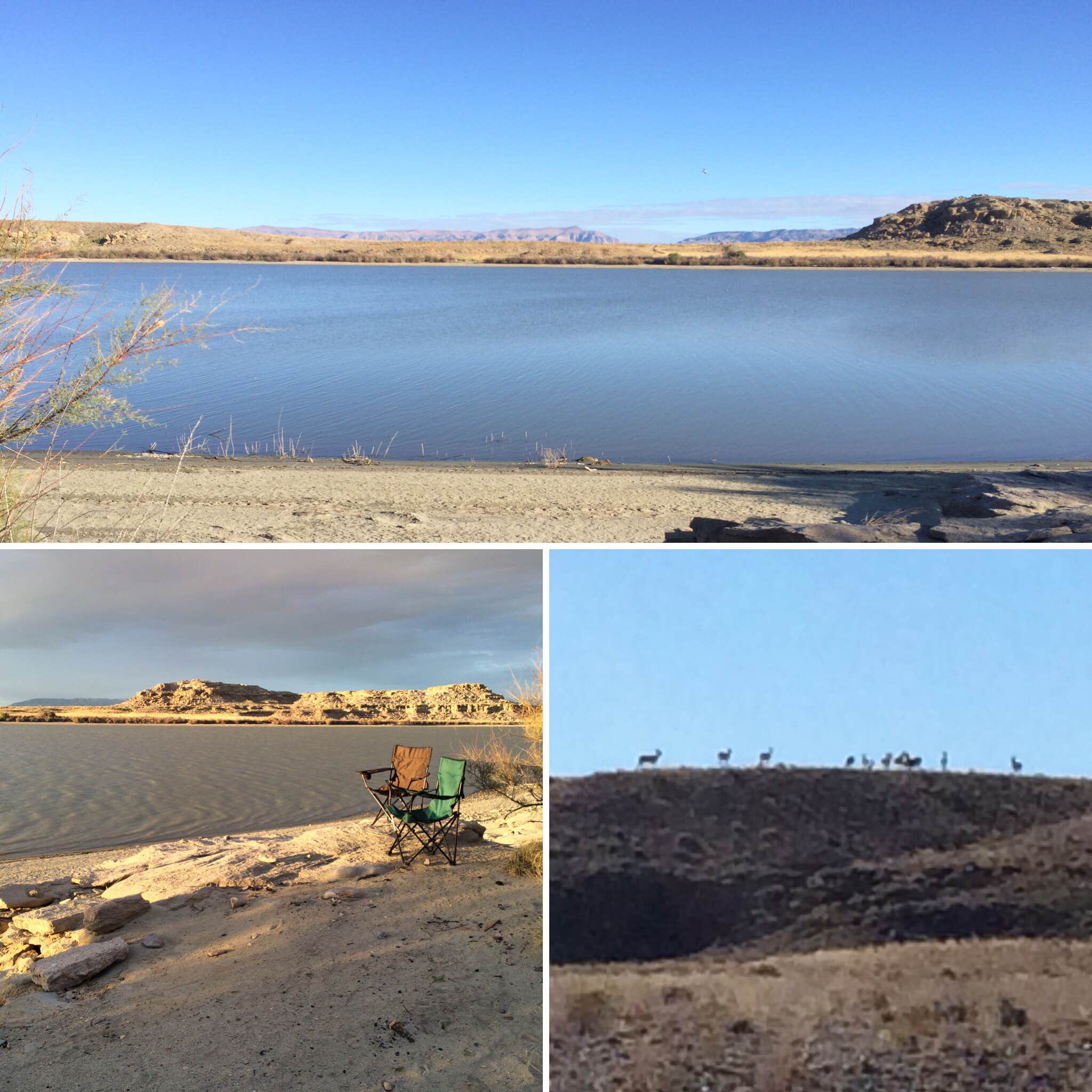 Camper submitted image from Poison Creek Campground — Boysen State Park - 1