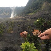Review photo of Kulanaokuaiki Campground — Hawai'i Volcanoes National Park by SwitchbackKids , July 3, 2017